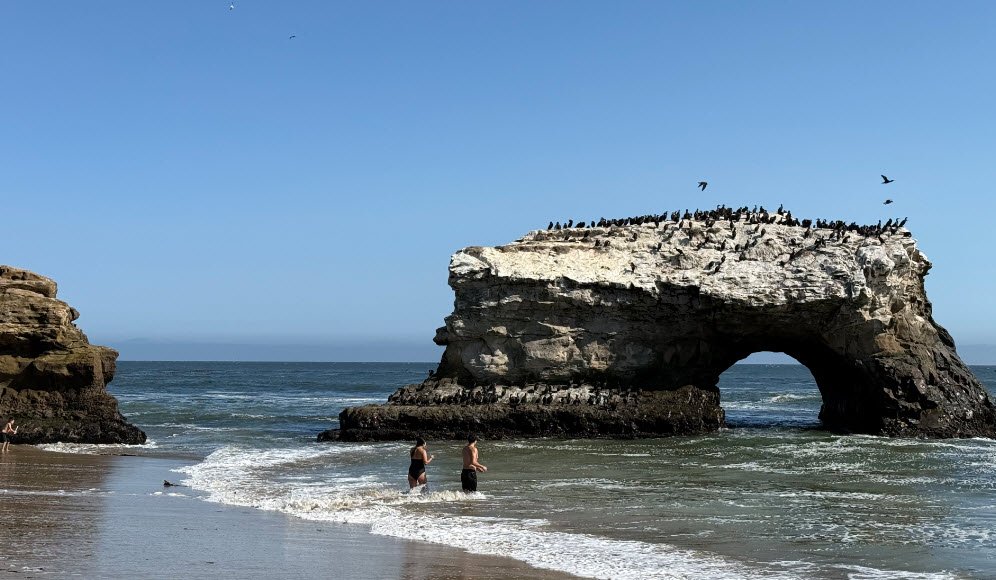 Natural Bridges State Beach, California, USA